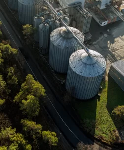 Vishnu Sharma profile picture