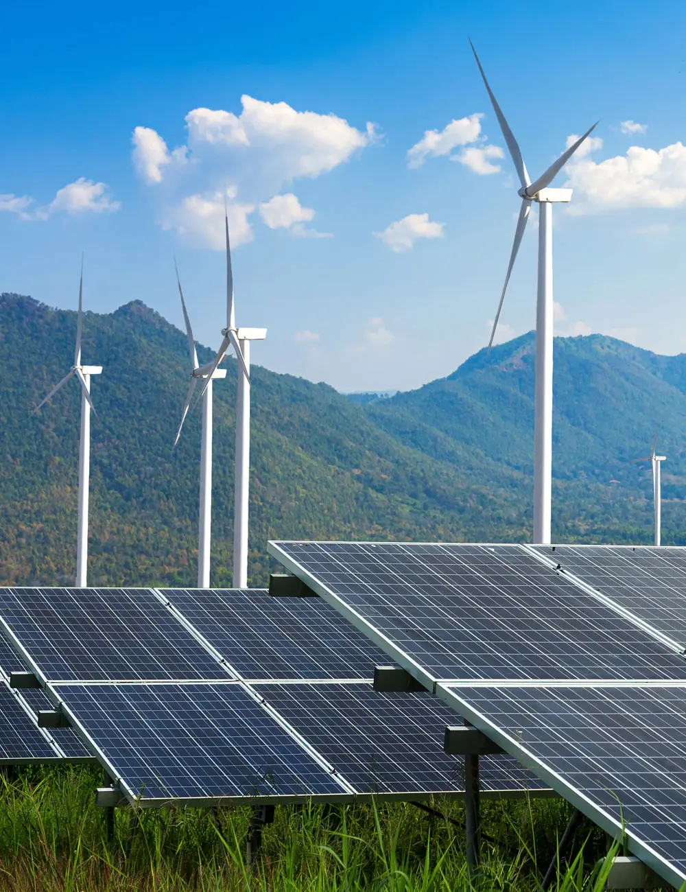 Harshit profile picture